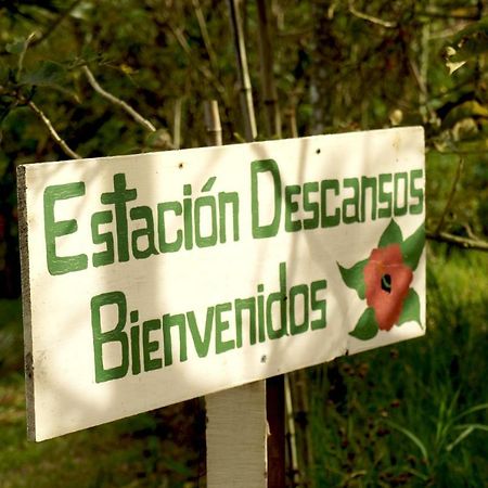 Finca Estacion Descansos Bed and Breakfast Paraíso Exterior foto