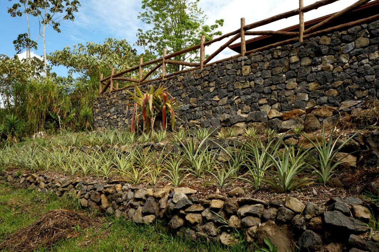 Finca Estacion Descansos Bed and Breakfast Paraíso Exterior foto